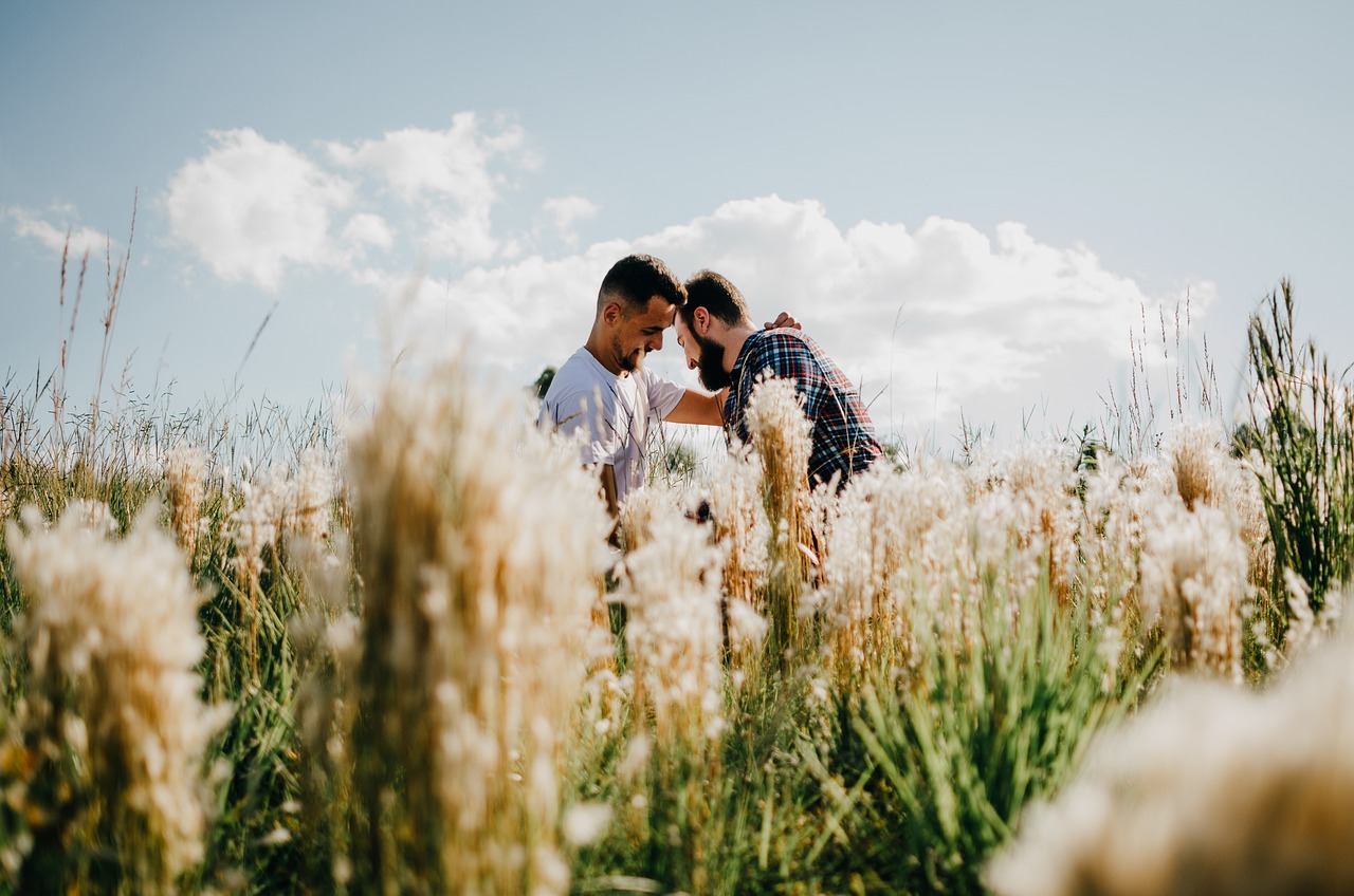 lovers, lgbt, meadow-7258610.jpg